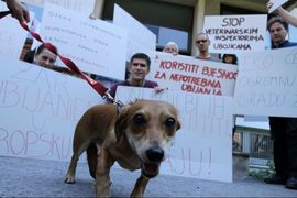 Inspektori upadaju u stanove i ubijaju pse pred djecom koja vrište