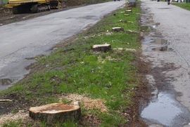 Banjalučkim šetačima podrška i iz Zenice