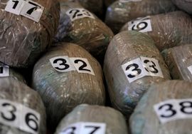 Droga u kamionu sa bh. tablicama