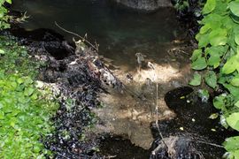 Naftna mrlja ponovo u Vrbanji