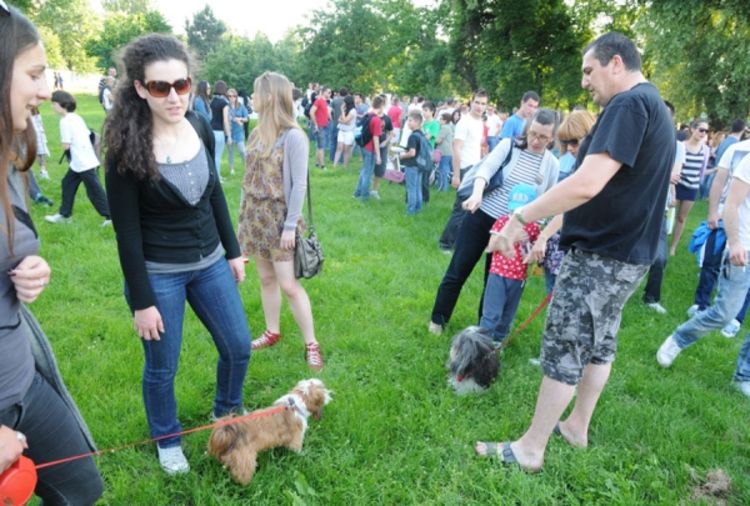 Treća sedmica okupljanja Banjalučana za spas zelenih površina