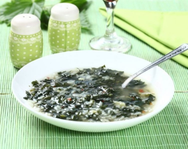Zelena čorba