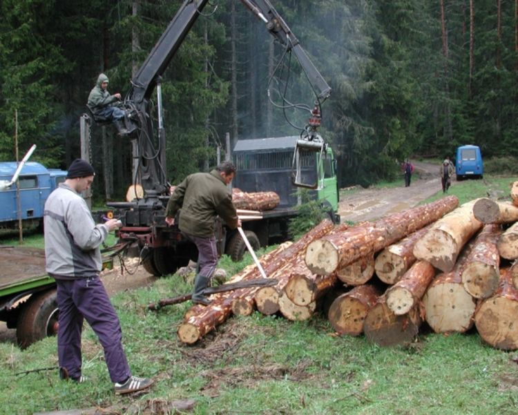 Sirovina za domaće  drvoprerađivače završava van RS