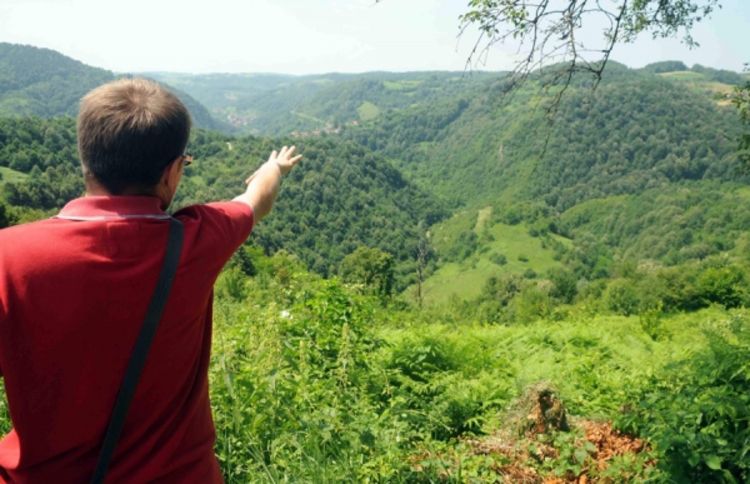 Banjaluka: Na Šibovima našli plantažu marihuane