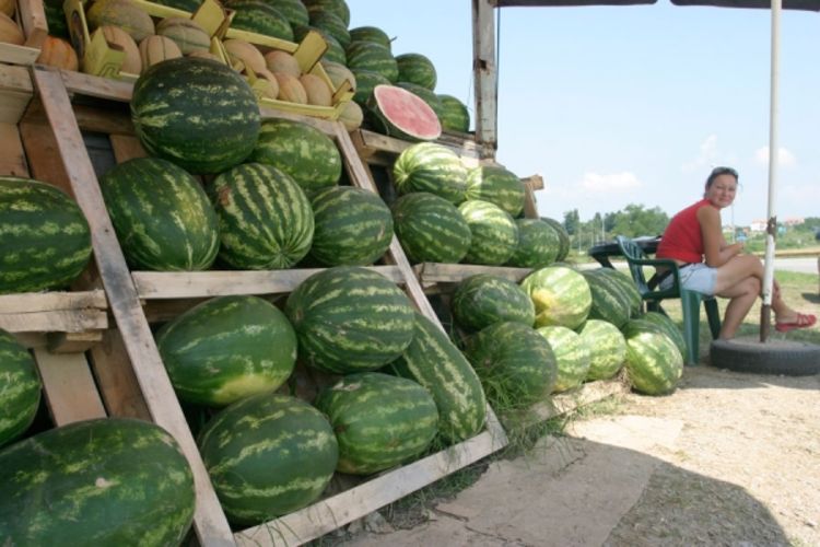 Prodaja lubenica na 31 lokaciji