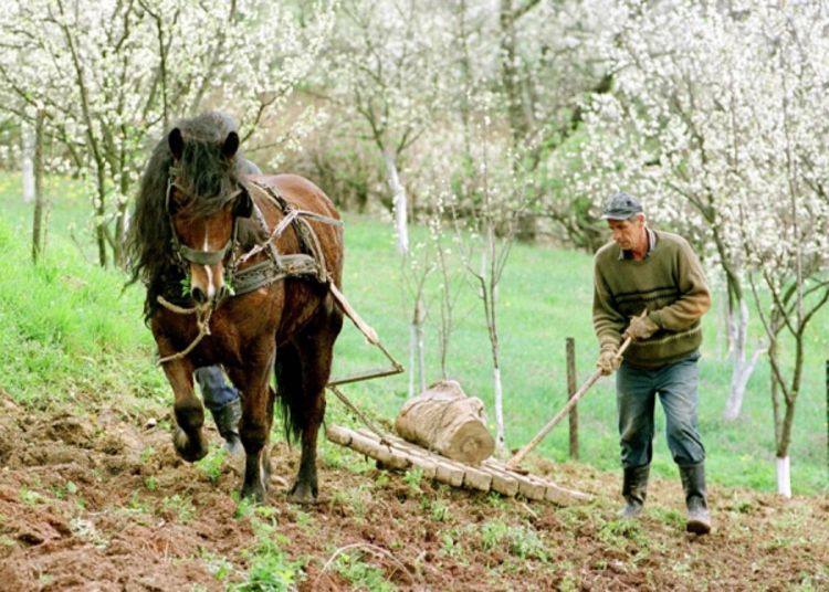 Oko 600 poljoprivrednika traži nadoknadu štete