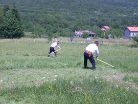 Kosci iz tri zemlje ukrstili kose