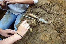 Arheolozi analiziraju kosti ubijenih ratnika