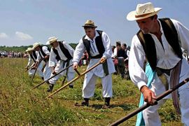 Sokolac: 20 kosaca takmičiće se u brzini kosidbe