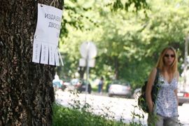 Oglasi i smrtovnice okačeni gdje ne treba