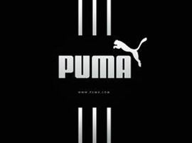Puma predviđa pad sopstvenog profita