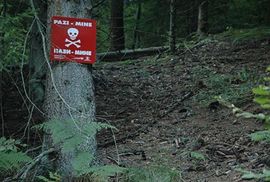 Srebrenica: Požar u minskom polju