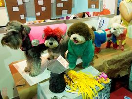 Održan Taipei Pet Show 2012: Dok pudlice smrt ne rastavi