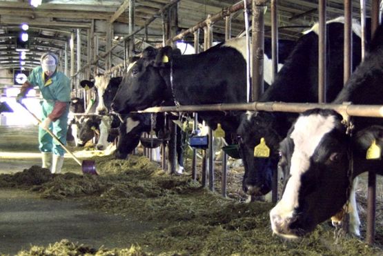 Povećana potražnja za sezonskim radnicima