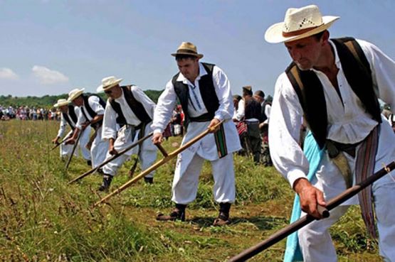 Sokolac: 20 kosaca takmičiće se u brzini kosidbe