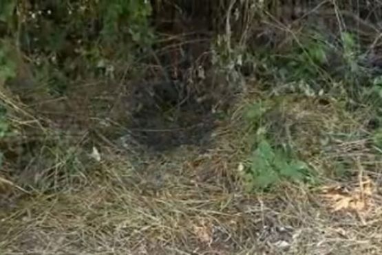 Kod Beča ponovo pronađeno iskasapljeno tijelo Srbina