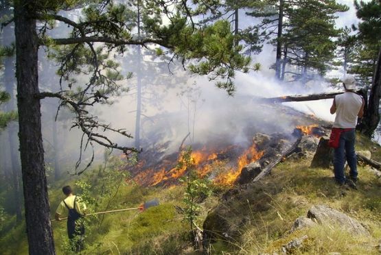 Grom izazvao požar širokih razmjera kod Višegrada