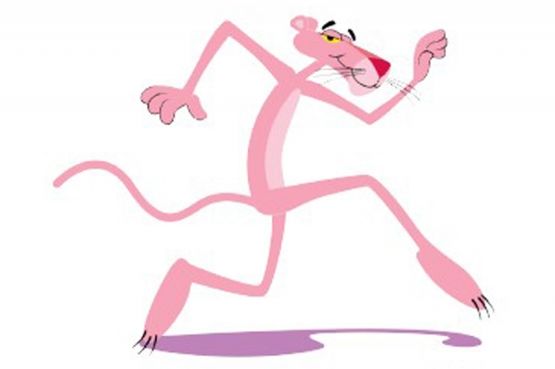 Iz zatvora pobjegla članica Pink Pantera