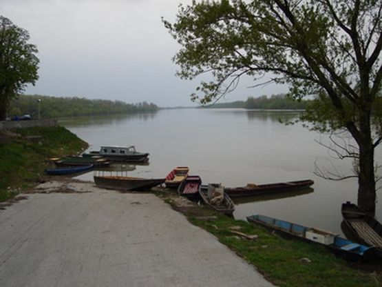 Pronađeno tijelo žene u Savi