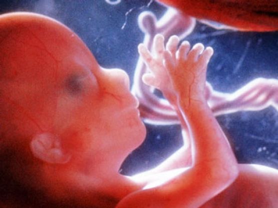 Čovječanstvo mora preći na novi metod razmnožavanja