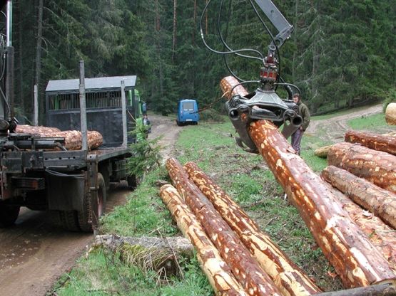 Šume RS: Za šest mjeseci gubitak 3,9 miliona maraka