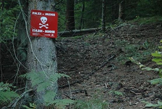 Srebrenica: Požar u minskom polju