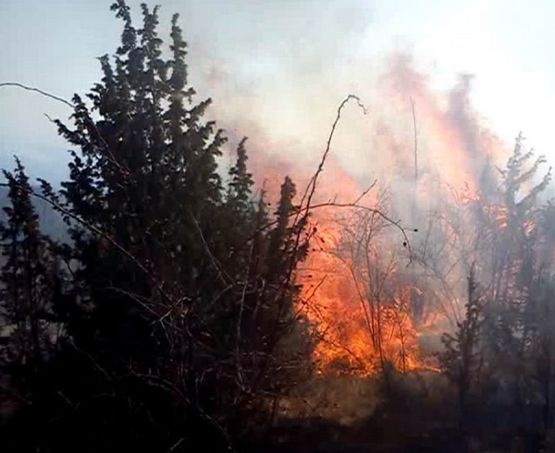 Vatra prijetila kućama