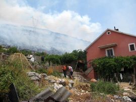 Gore desetine hektara šume i niskog rastinja