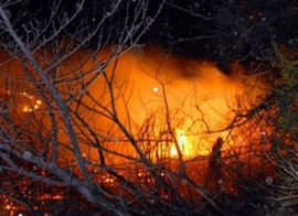 Vatra na 1,5 kilometara od Hilandara