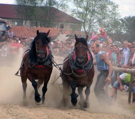 Održana druga Štraparijada u Bijeljini