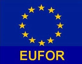 Eufor ne raspolaže kapacitetima za gašenje požara