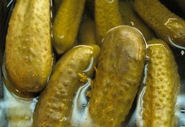 Šestoro umrlo od kontaminiranih krastavaca