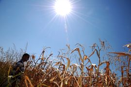 Očekuju nas "pasje" vrućine i sibirske zime