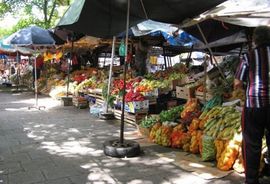 Zelena pijaca u Bijeljini danas bez vode