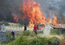 Na Trebinjskim brdima gore električni stubovi