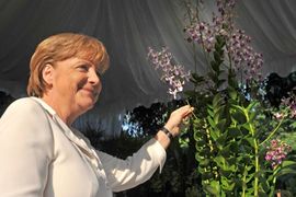 Uhapšen napadač na Merkelovu