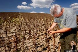 Štete u poljoprivredi RS oko milijardu maraka
