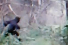 Pogledajte snimak misterioznog bića iz Ohaja: Da li je ovo Bigfut?
