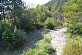Rijeka Jošavka (gotovo) presušila