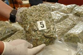 Bh. državljanin na Braču uhapšen sa 31 kilogramom droge