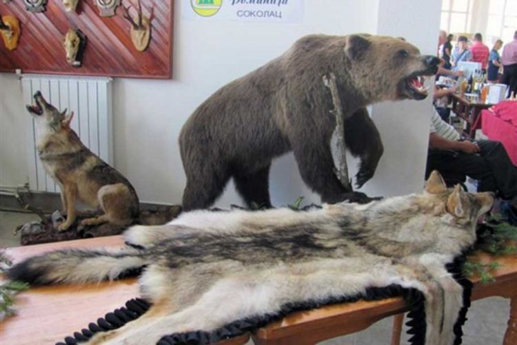 Izloženi proizvodi od meda i rukotvorine