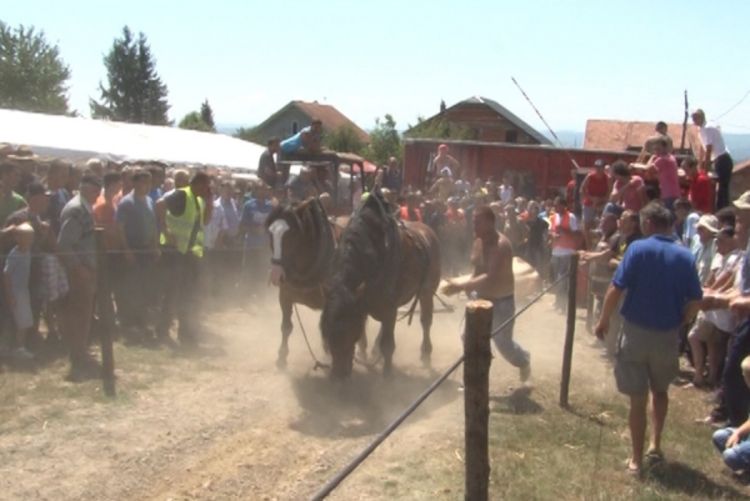 Na Štraparijada više od 40 konja