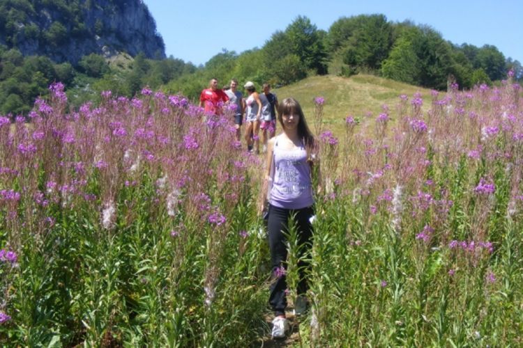 Raskošna njedra zelene planine