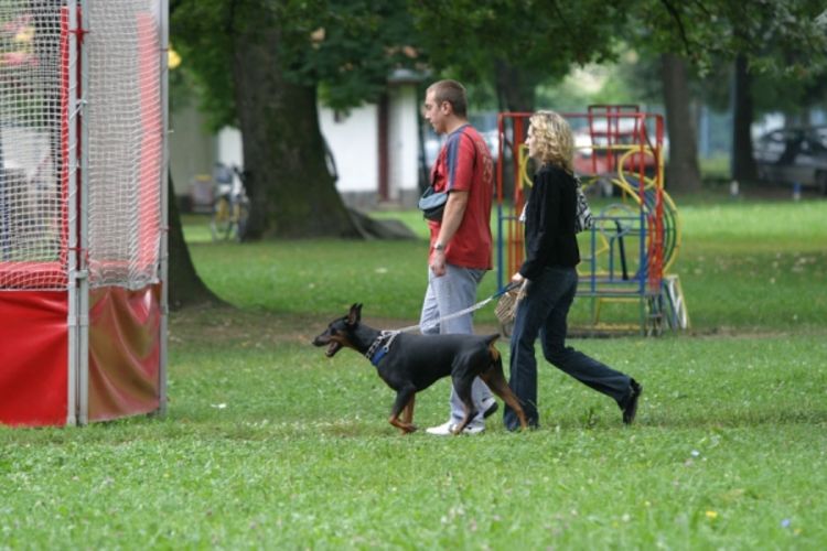 Odluka dobra, izostao rezultat