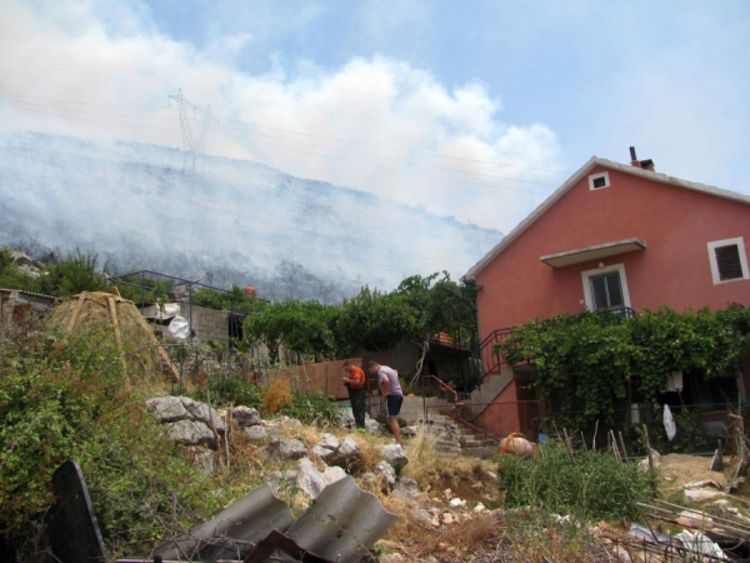 Gore desetine hektara šume i niskog rastinja