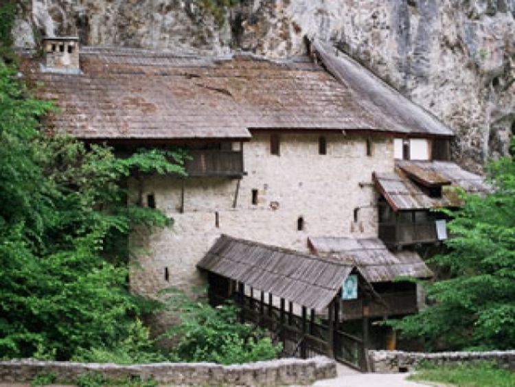 U Crnoj reci silovan štićenik