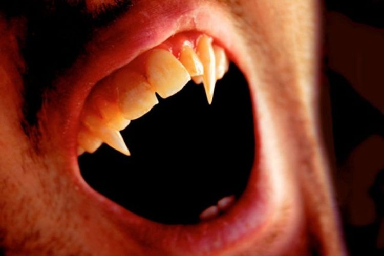 Pravi vampiri zaista postoje