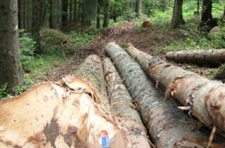 Romanija: Za šest mjeseci gubitak 1. 413. 484 KM