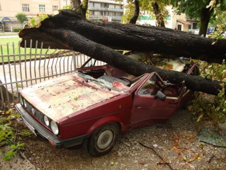 Vjetar čupao drveće u Bihaću