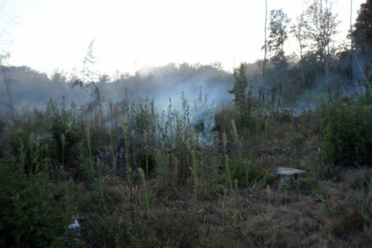 U Bratuncu novi požari, vatra se širi prema naseljima